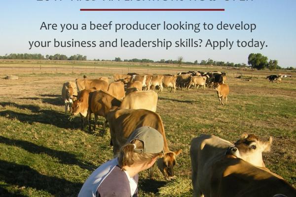 Australian Institute of Company Directors Course available for grassfed beef producers
